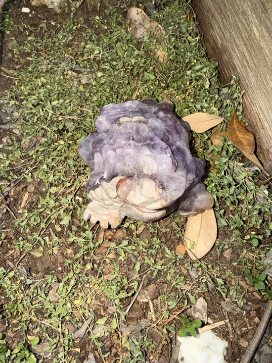 Dream Amethyst Crystal Money Toad 12 oz - Picture 6 of 11